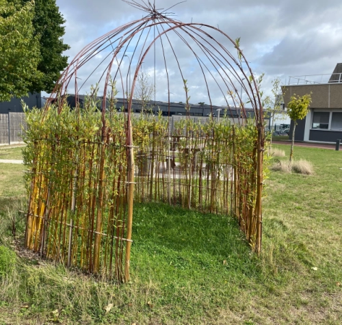 Recréer des espaces plus naturels dans les entreprises, une démarche avec de nombreux avantages! 