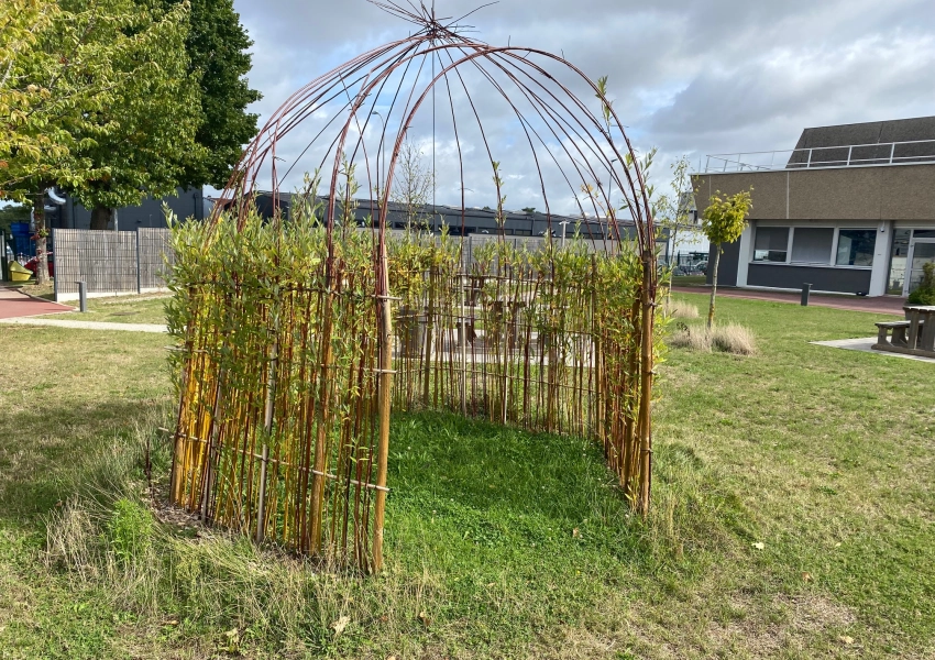 Recréer des espaces plus naturels dans les entreprises, une démarche avec de nombreux avantages!