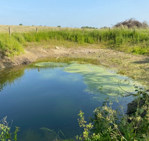 Hydraulique douce : des solutions naturelles et durables pour gérer l’eau