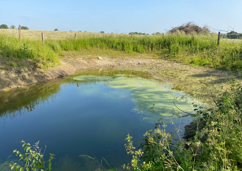 Hydraulique douce : des solutions naturelles et durables pour gérer l’eau