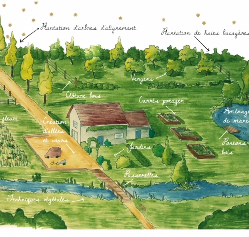 Le jardin Solveg, naturel et résilient.